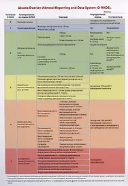Шкала Ovarian-Adnexal Reporting and Data System (O-RADS)./Тактика ведения пациенток O-RADS 2 при типичных доброкачественных поражениях