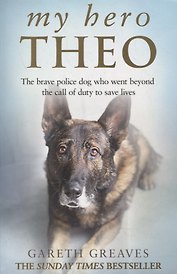 My Hero Theo