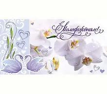 Конверт Молодоженам! 1-20-0593