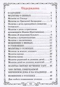 Помянник. Чин литии, совершаемой мирянином дома и на кладбище. Молитва святому мученику Уару - 1