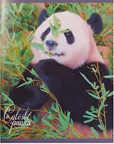 Тетрадь в клетку Unnika, "Очаровательные панды", 96 листов, в ассортименте