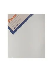 Холст на подрамнике 25*30, грунт., 100% хлопок, 280г/м2, Pinax