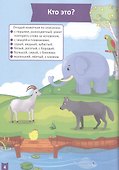 Развитие речи (5-6 лет) - 2