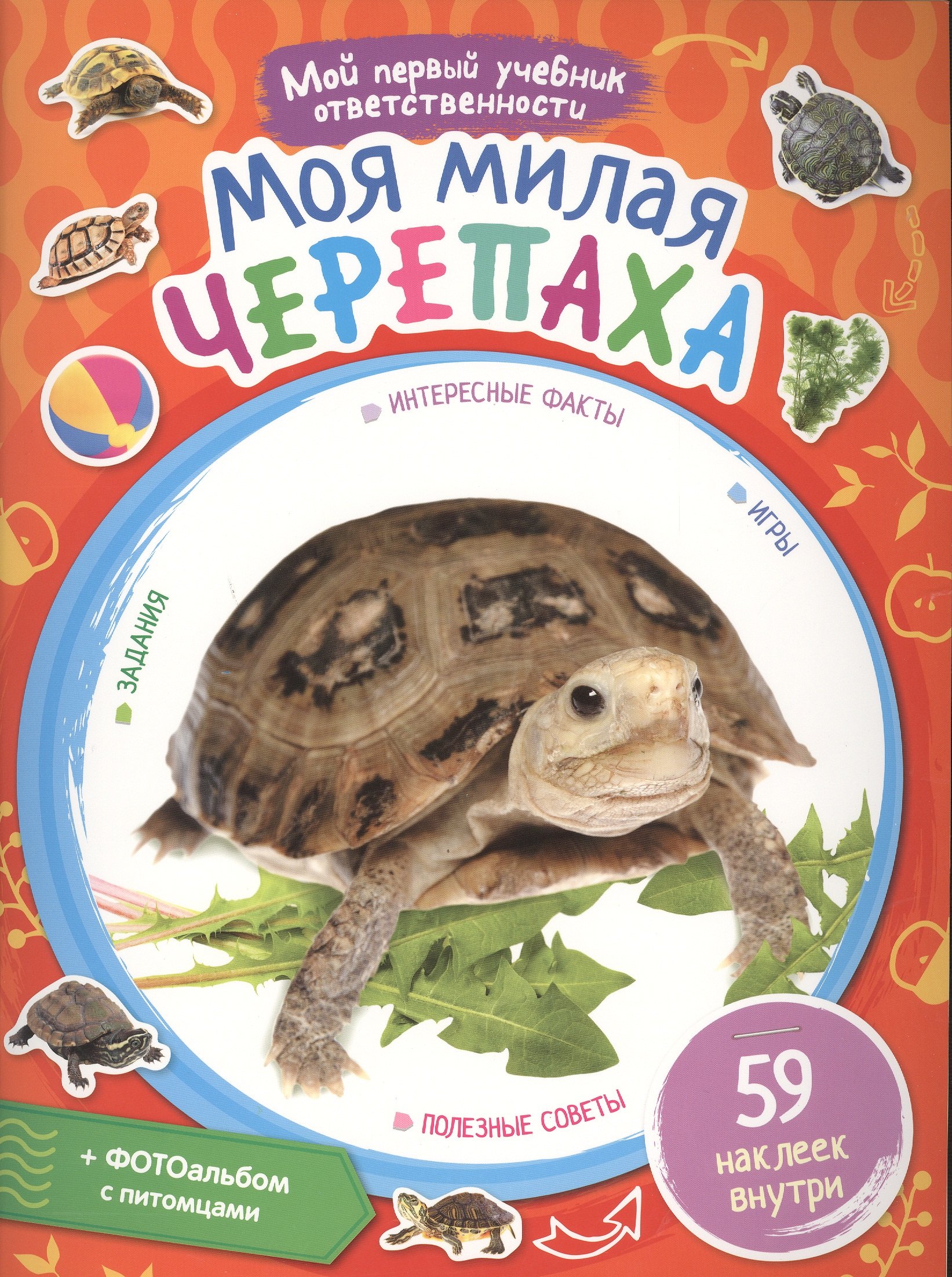 

Моя милая черепаха + наклейки внутри