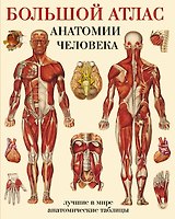 Большой атлас  анатомии человека