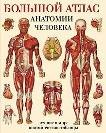 Большой атлас  анатомии человека