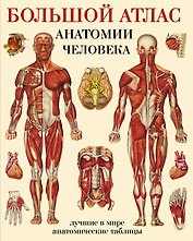 Большой атлас  анатомии человека