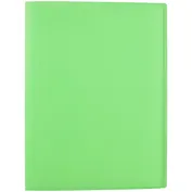 Папка с файлами «Neon», Erich Krause, 40 штук, А4