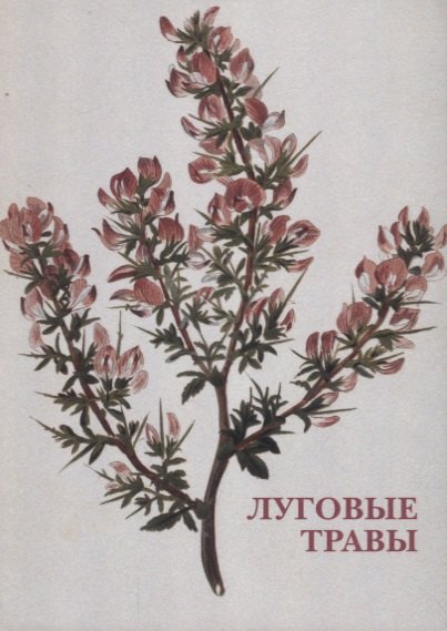 

Луговые травы