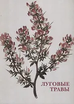 Луговые травы