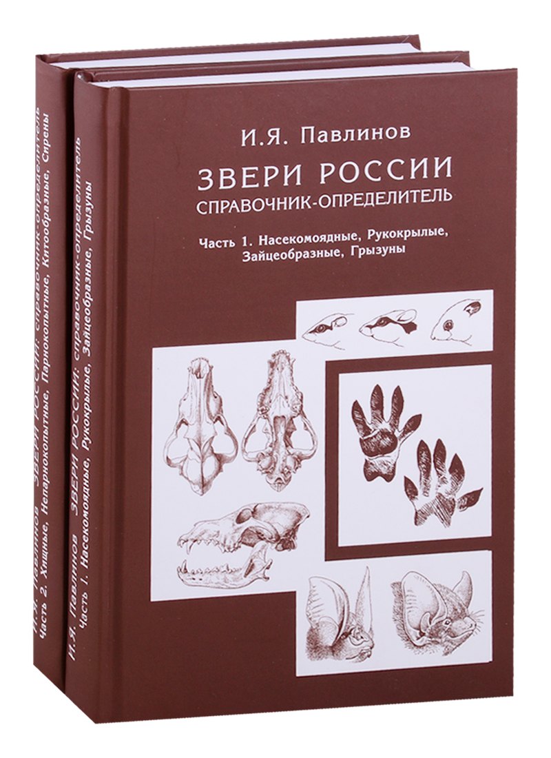 Зоология Звери России. Справочник-определитель (комплект из 2 книг)