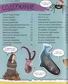 Европа. Все, о чем ты хочешь знать - 1