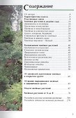 Все хвойные растения - 1