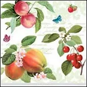 Наб. салф. для декупажа Фрукты/Маки (FRB/CAMP) (2шт) (упаковка)