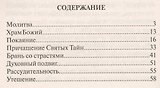Сокровенная радость души. Преподобные Оптинские старцы