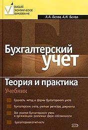 Бухгалтерский учет.Теория и практика. Учебник