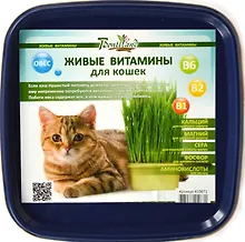 Живые витамины для кошек "Овес" в пластиковом лотке (410671) (19х17,4)