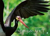 Белый аист. Посланец неба/ Чёрный аист. Лесной отшельник