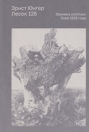 Лесок 125. Хроника окопных боев 1918 года