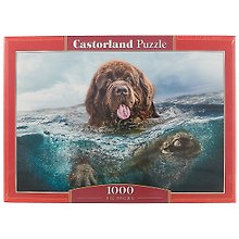 Пазл Castorland 1000 эл. 68*47см. Пес в воде