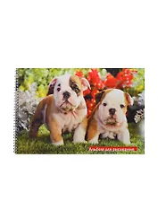 Альбом для рисования Hatber, "Зверье мое", А4, 32 листа, на евроспирали, в ассортименте