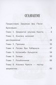 Детектив альпака Кристи - 1