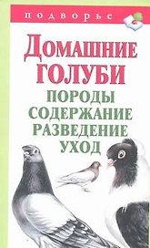 Подворье.Домаш.голуби.Породысодер.развед.и уход