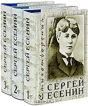 Стихотворения (в 3-х томах) Том 1 (супер) (Мудрость веков). Есенин С. (Реал-пресс)