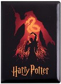 Обложка на паспорт «Гарри Поттер» - 0