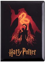 Обложка на паспорт Гарри Поттер