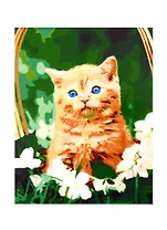 Набор д/творчества Рыжий кот Палитра. Холст с красками 30х40см по номерам Рыжий котенок в корзине Х-1762