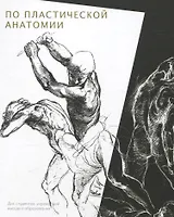 Практикум по пластической анатомии