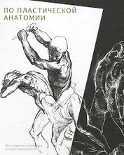Практикум по пластической анатомии