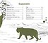 Редкие обитатели Азии. Серия "Планета животных"  (Соц. значимая 2024) - 2