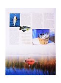 Рыбалка. Иллюстрированная энциклопедия - 2