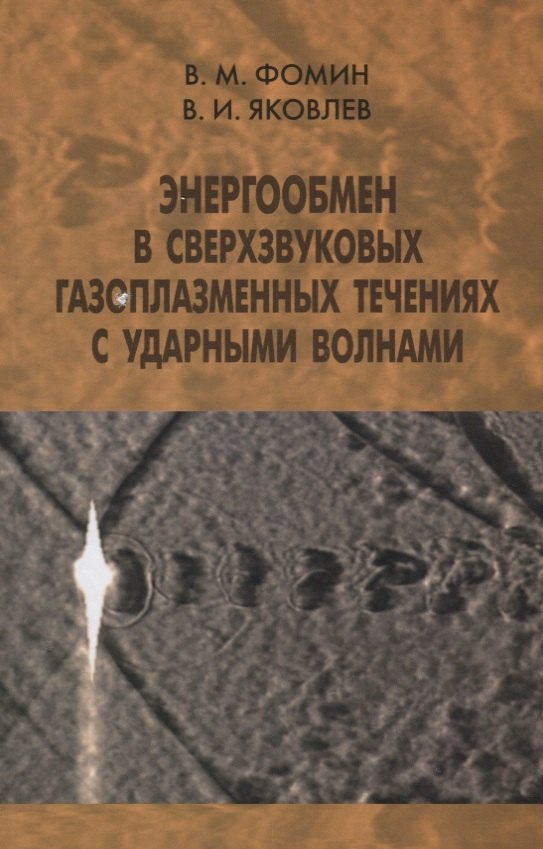 

Энергообмен в сверхзвуковых газоплазменных течениях с ударными волнами