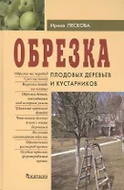 Обрезка плодовых деревьев и кустарников