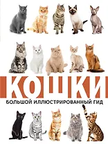 Кошки
