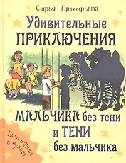 Удивительные приключения мальчика без тени и тени без мальчика