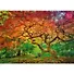 Пазл Cherry Pazzl "Краски осени", 1000 деталей - 1