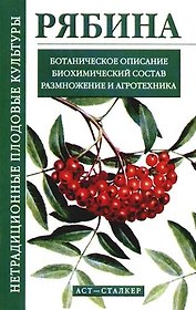 Рябина