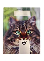 Дневник для средних и старших классов Unnika, "Кошачьи забавы"