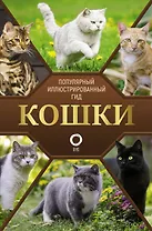 Кошки