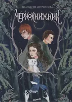 Чернокнижник. Книга вторая: Роман