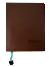 Дневник шк. "Mercury коричневый"  10-069/06 309684