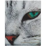 Дневник для средних и старших классов Listoff, "Котик"