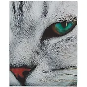 Дневник для средних и старших классов Listoff, "Котик"