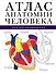 Атлас анатомии человека для раскрашивания - 0
