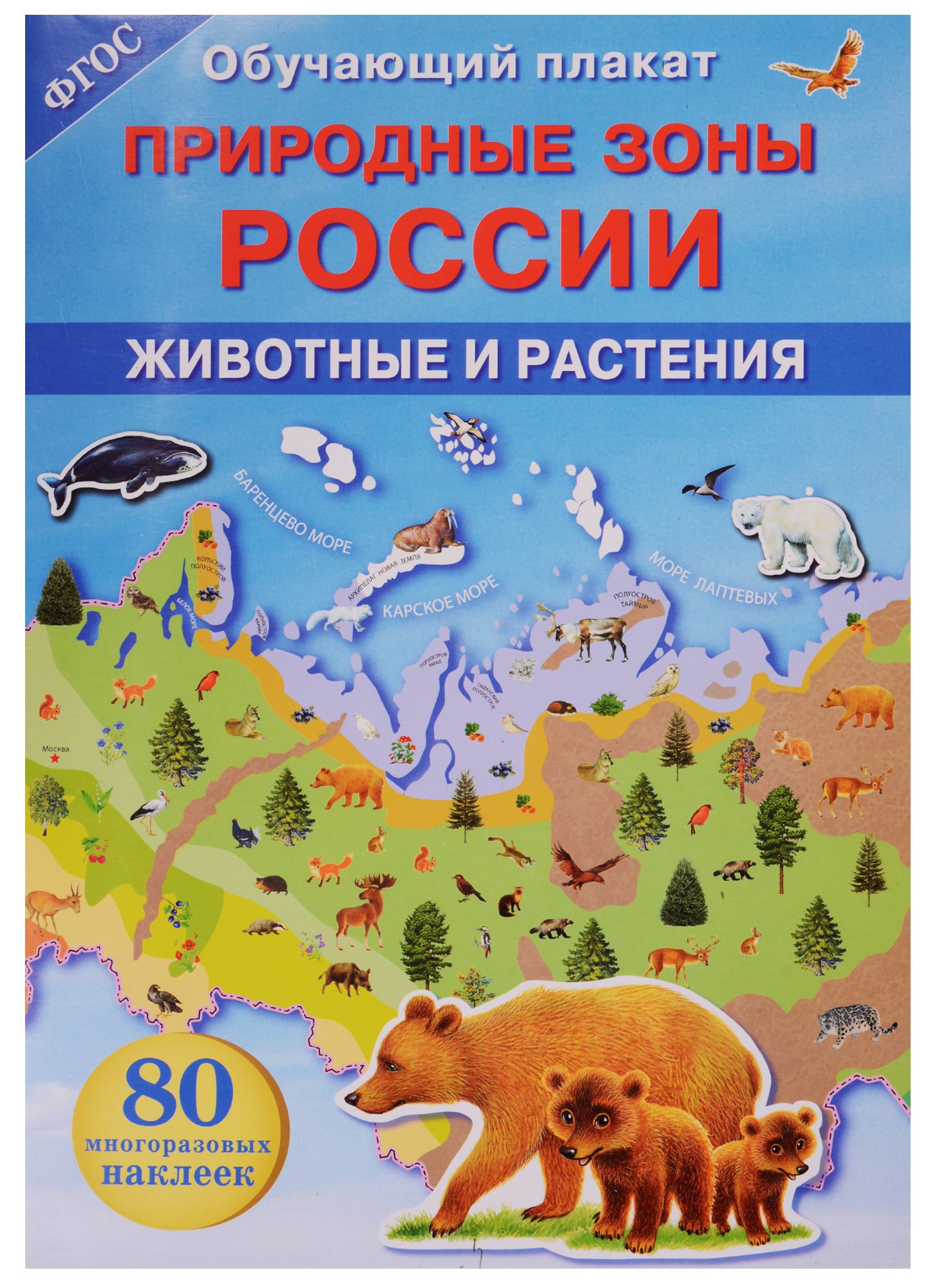 

Природные зоны России. Животные и растения