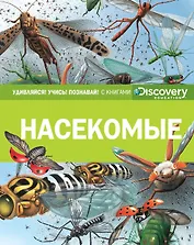 Насекомые